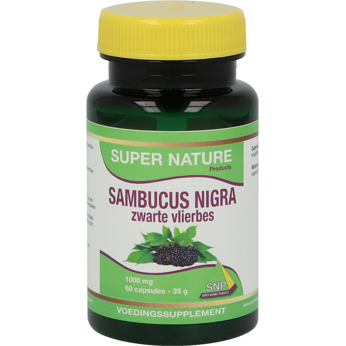 Sambucus Nigra afbeelding