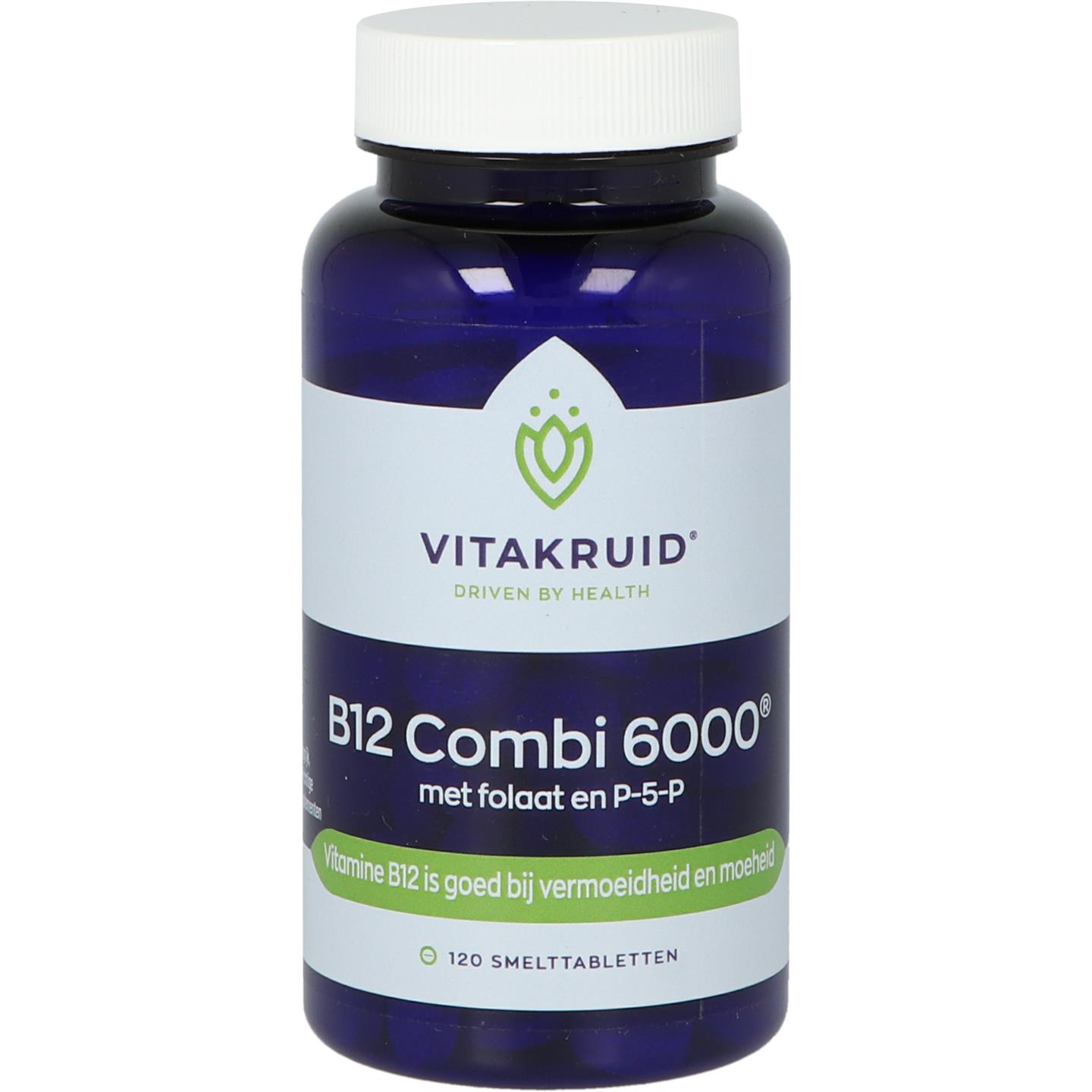 B12 Combi 6000