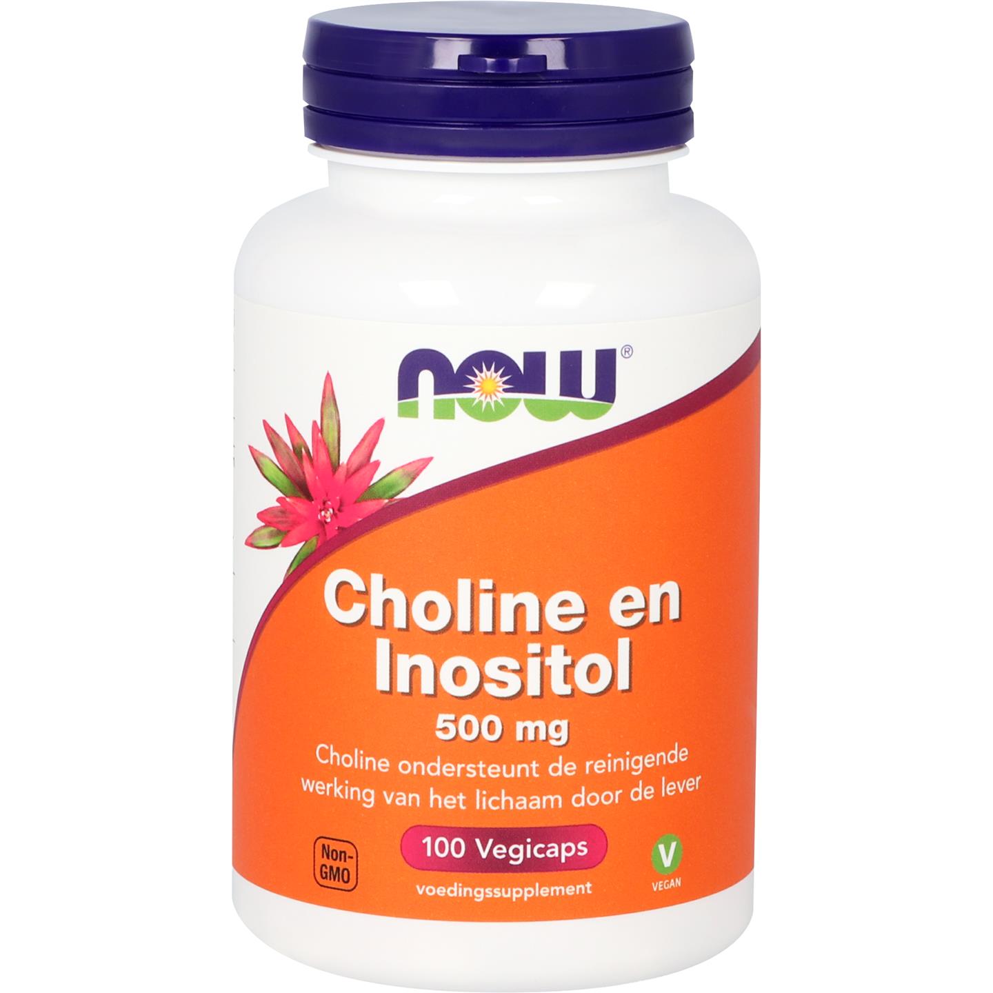 Choline en Inositol afbeelding