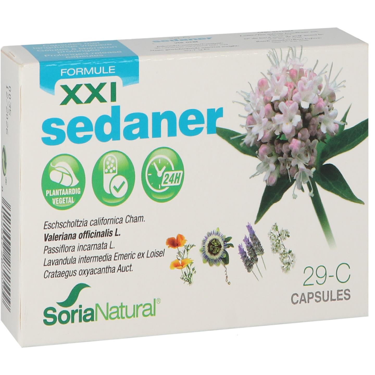 XXI Sedaner 29-C afbeelding
