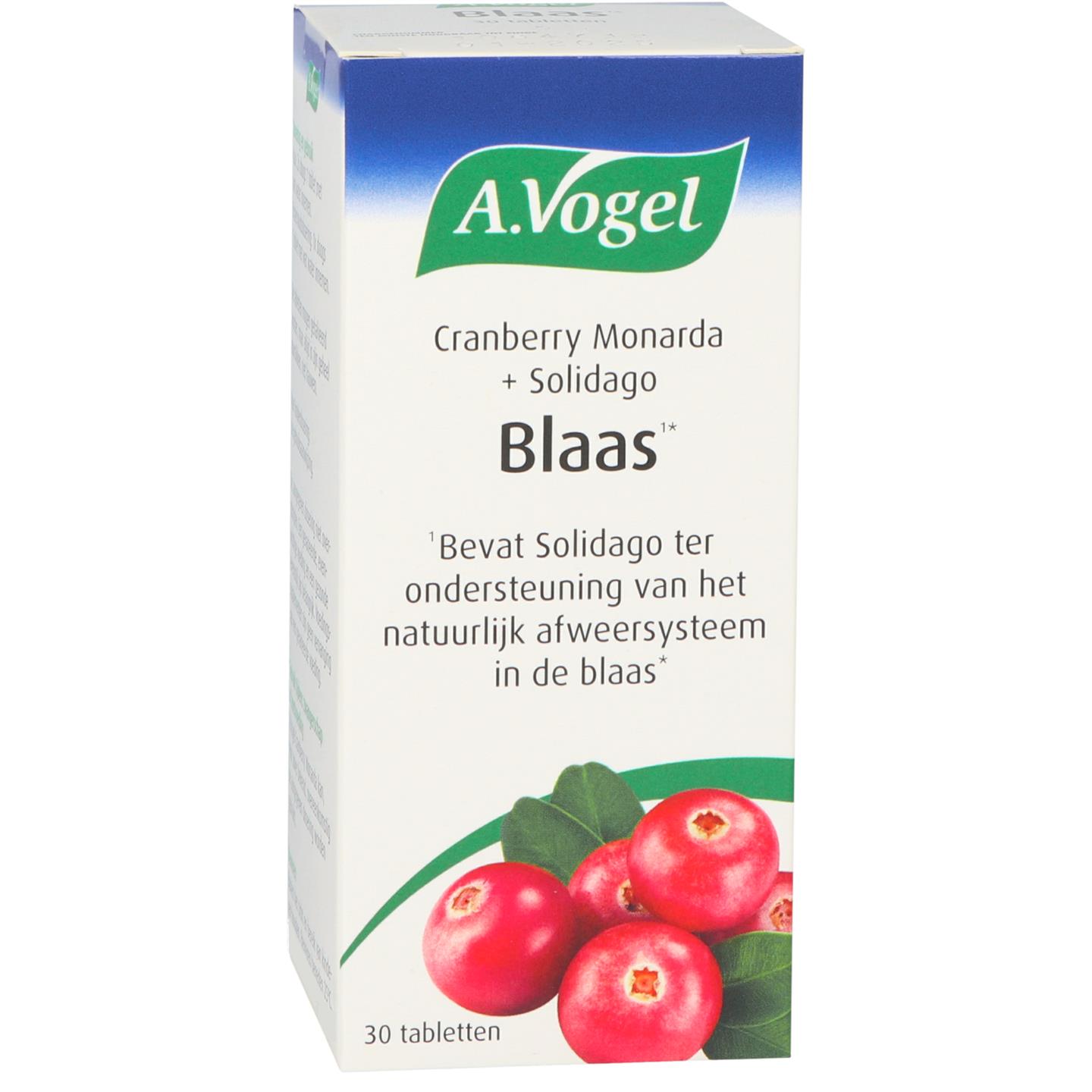 Cranberry monarda + Solidago afbeelding 1