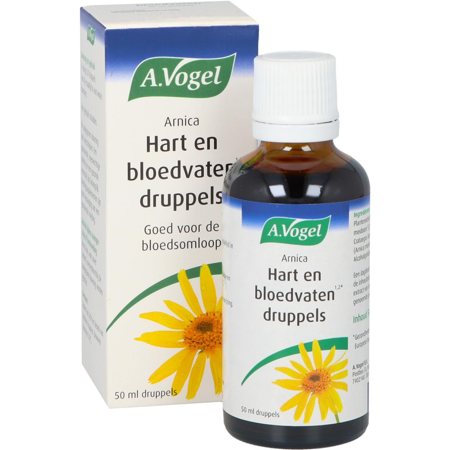 Arnica afbeelding 1