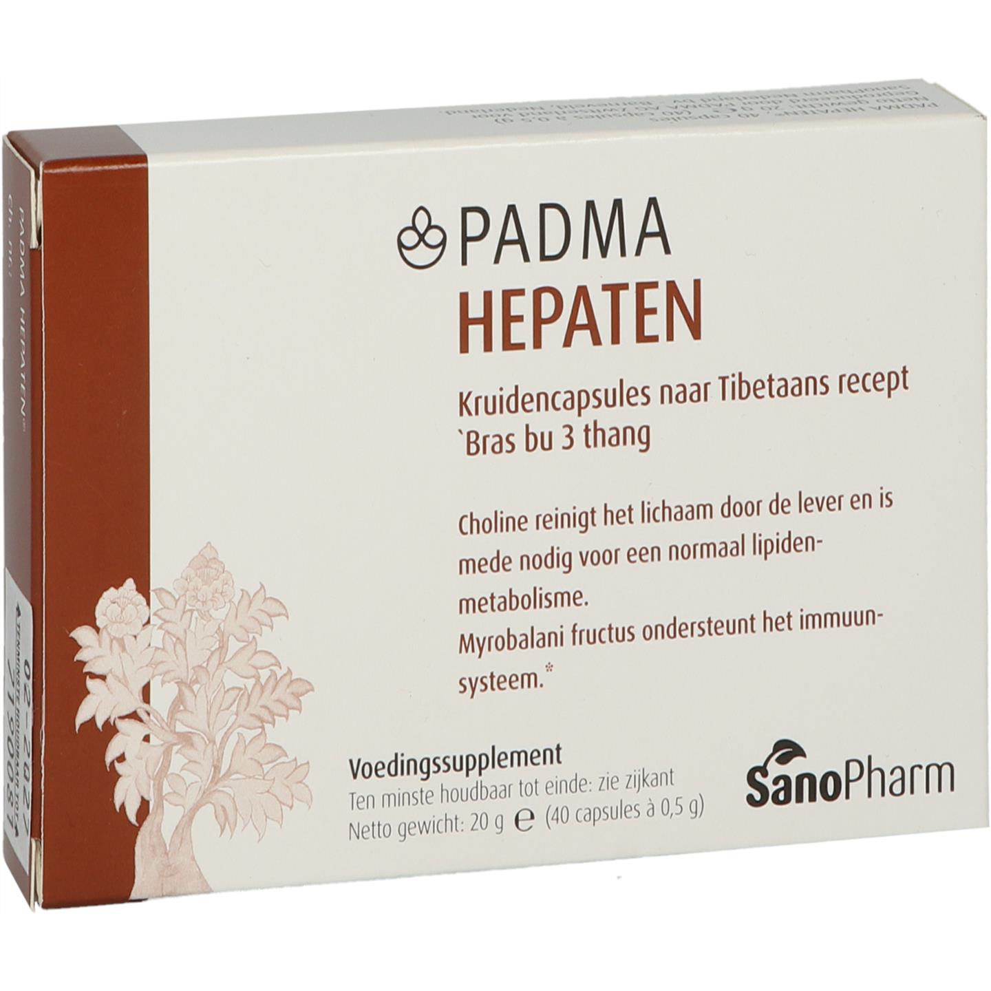 Padma Hepaten afbeelding 1