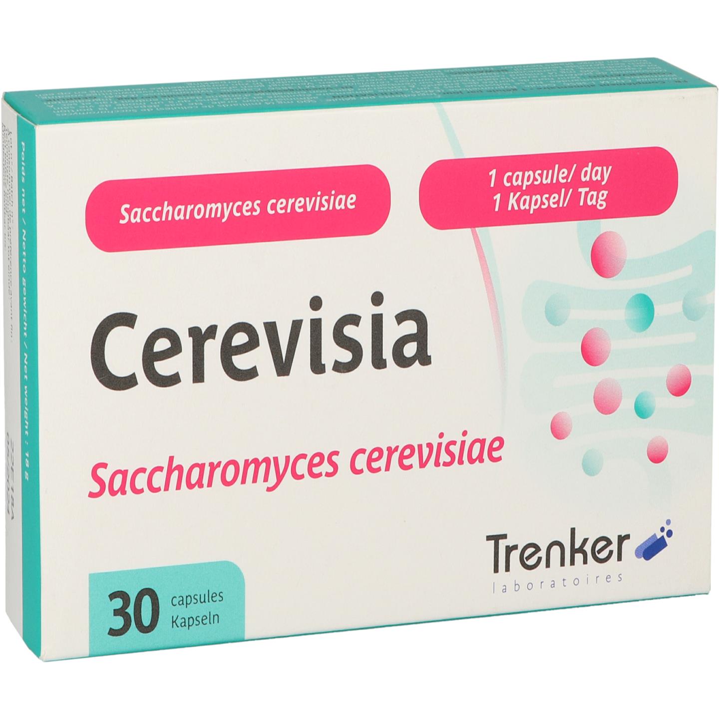 Cerevisia afbeelding