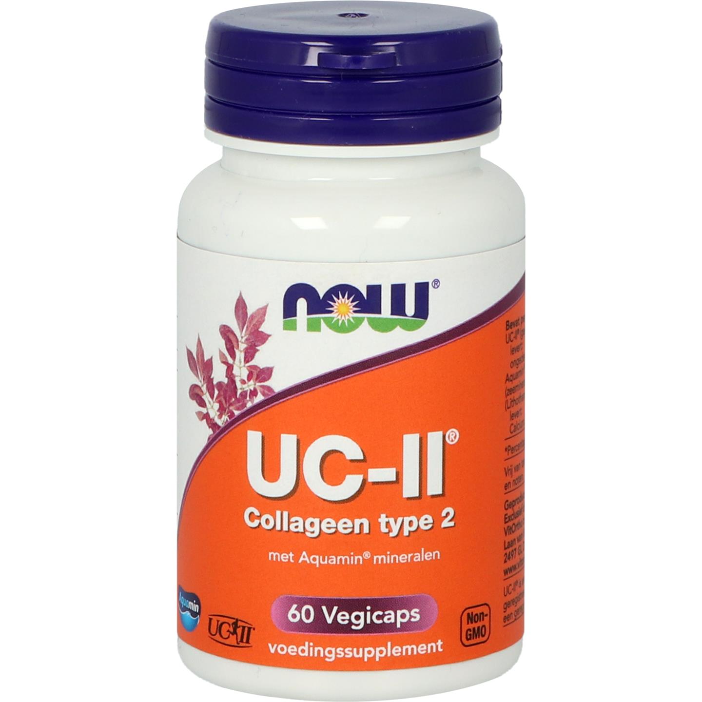UC-II Collageen type 2 afbeelding