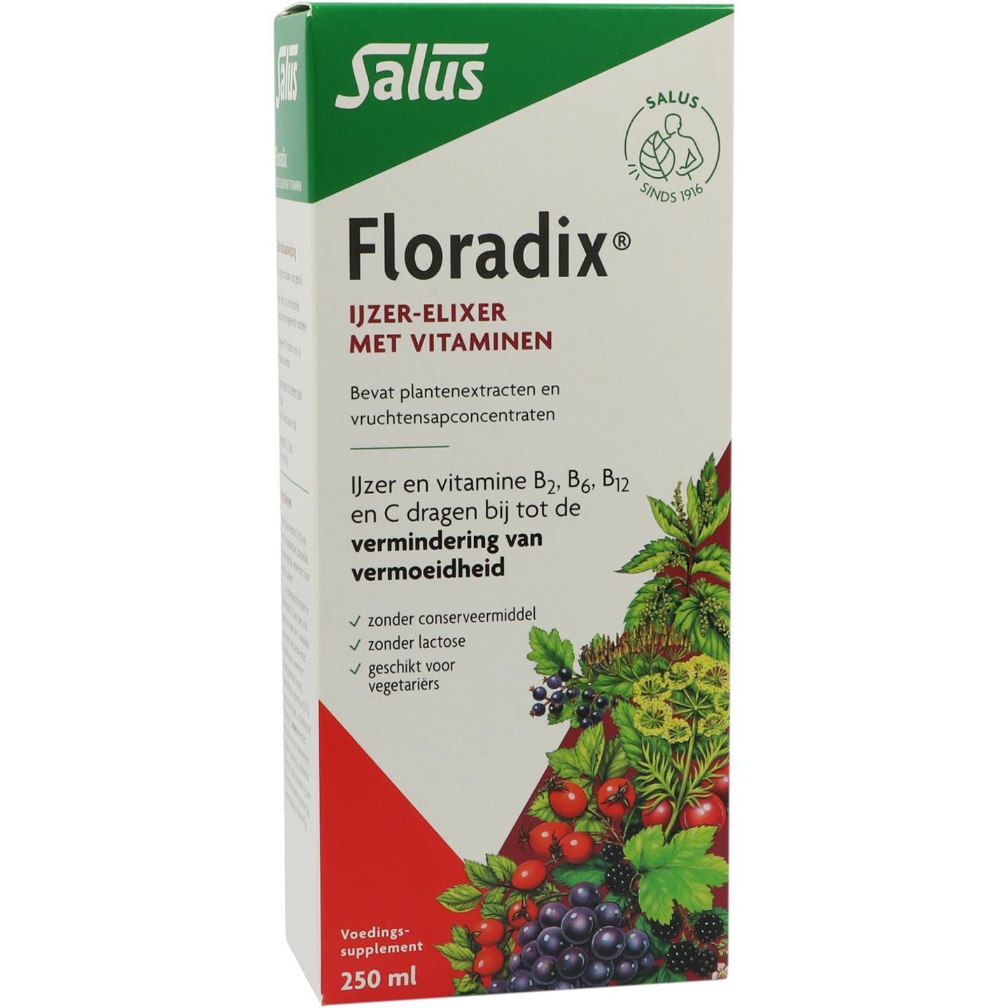 Floradix IJzer afbeelding